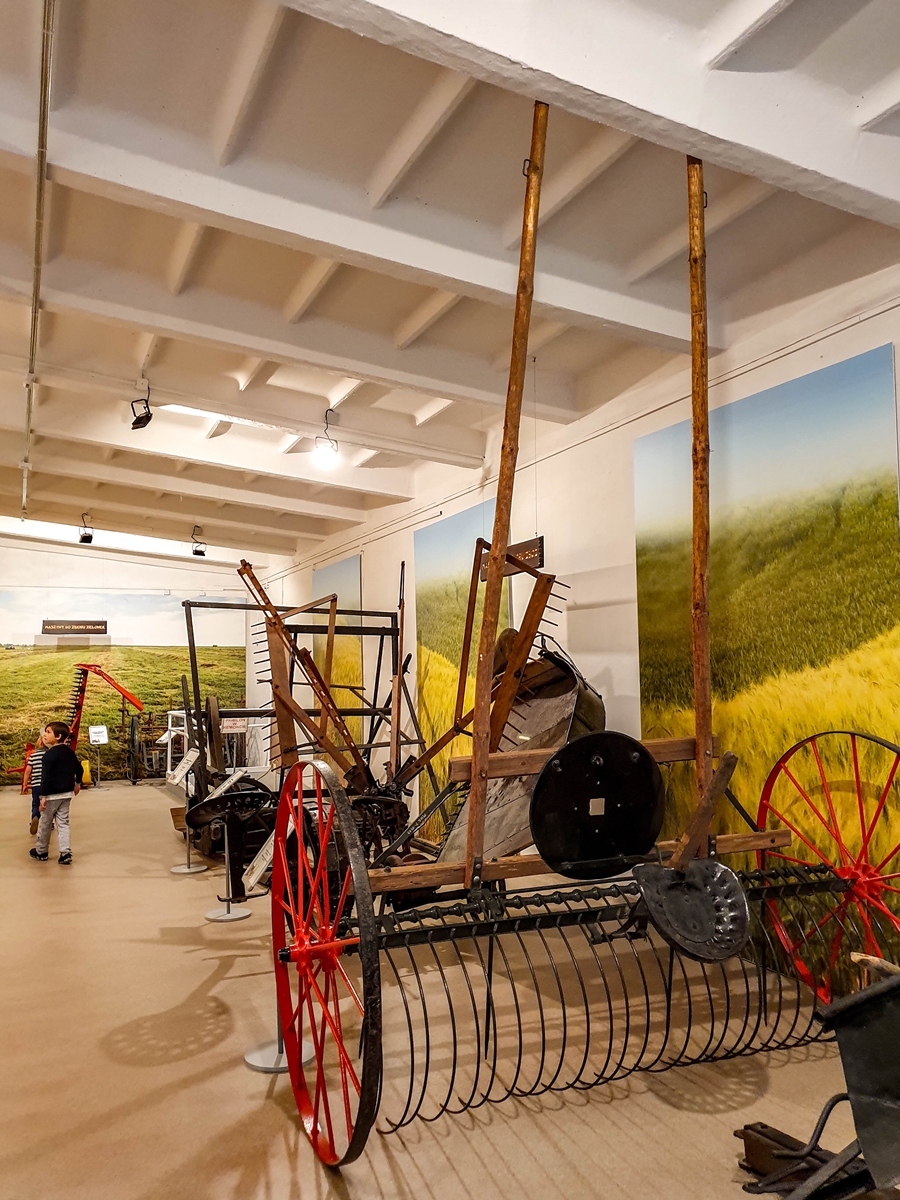 Muzeum Rolnictwa w Szreniawie