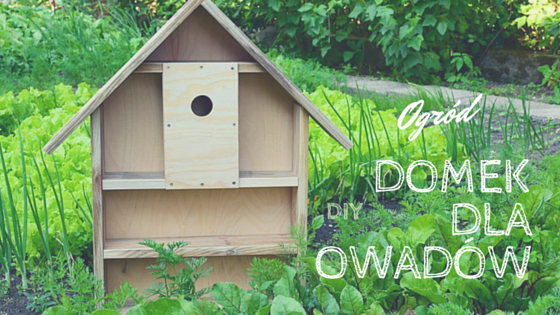 Domek dla owadów krok po kroku.
